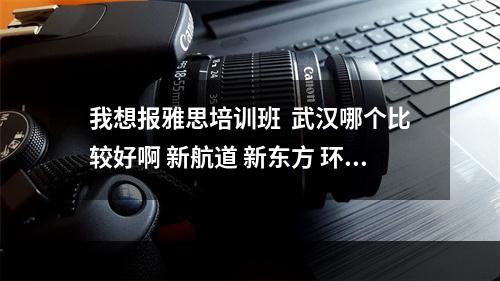 我想报雅思培训班  武汉哪个比较好啊 新航道 新东方 环球