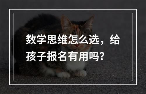 数学思维怎么选，给孩子报名有用吗？