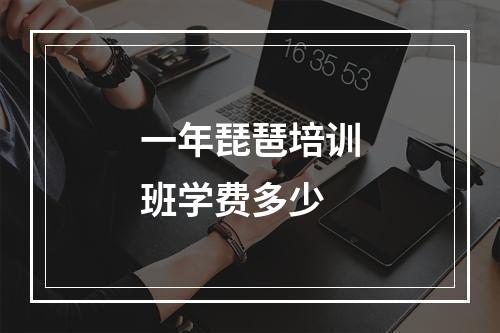 一年琵琶培训班学费多少