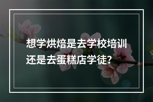 想学烘焙是去学校培训还是去蛋糕店学徒？