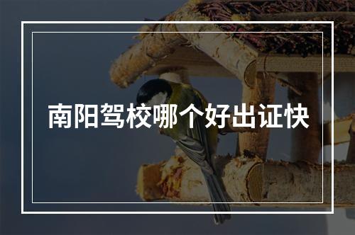 南阳驾校哪个好出证快