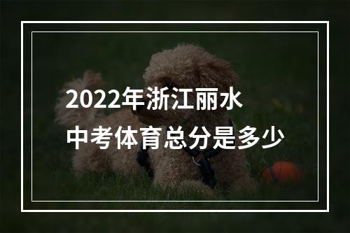 2022年浙江丽水中考体育总分是多少