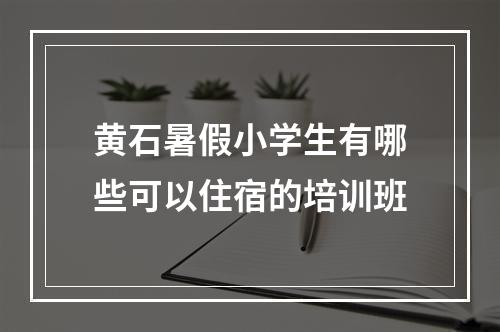 黄石暑假小学生有哪些可以住宿的培训班