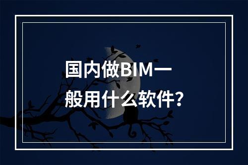 国内做BIM一般用什么软件？