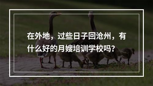 在外地，过些日子回沧州，有什么好的月嫂培训学校吗？