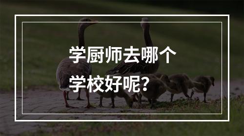 学厨师去哪个学校好呢？