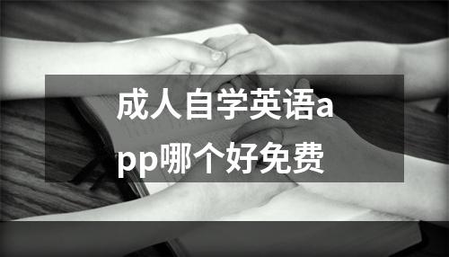 成人自学英语app哪个好免费