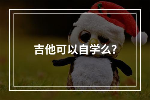 吉他可以自学么？