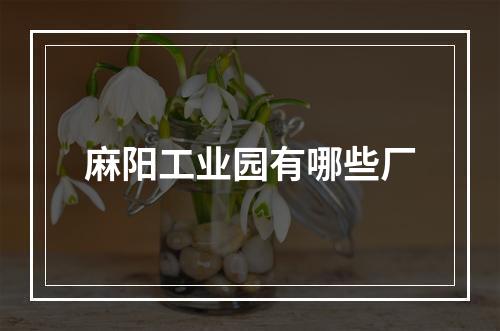 麻阳工业园有哪些厂