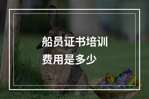 船员证书培训费用是多少