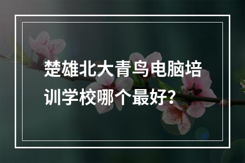 楚雄北大青鸟电脑培训学校哪个最好？