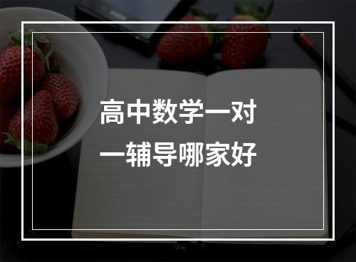 高中数学一对一辅导哪家好