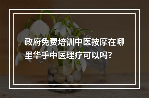 政府免费培训中医按摩在哪里华手中医理疗可以吗？