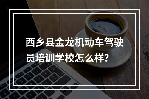 西乡县金龙机动车驾驶员培训学校怎么样？