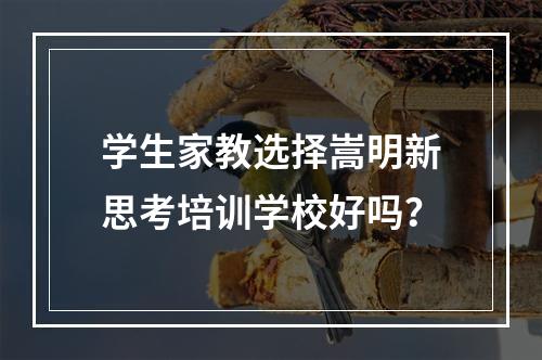 学生家教选择嵩明新思考培训学校好吗？