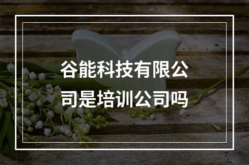 谷能科技有限公司是培训公司吗