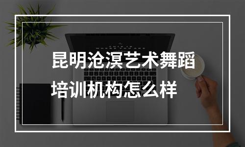 昆明沧溟艺术舞蹈培训机构怎么样