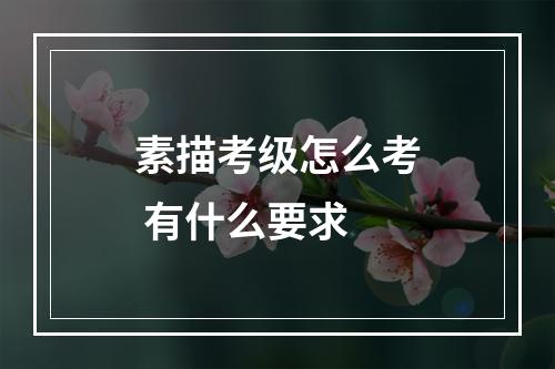 素描考级怎么考 有什么要求