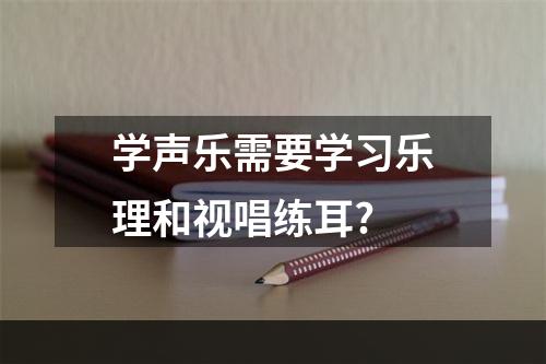 学声乐需要学习乐理和视唱练耳?