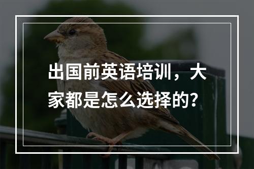 出国前英语培训，大家都是怎么选择的？