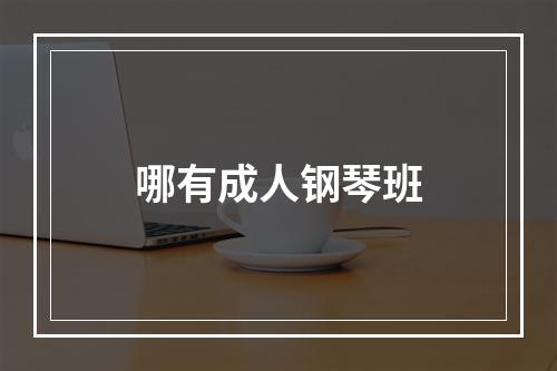 哪有成人钢琴班