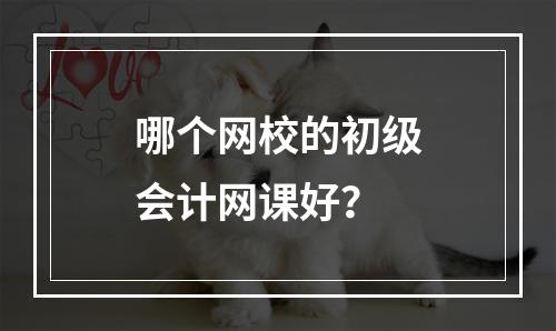 哪个网校的初级会计网课好？