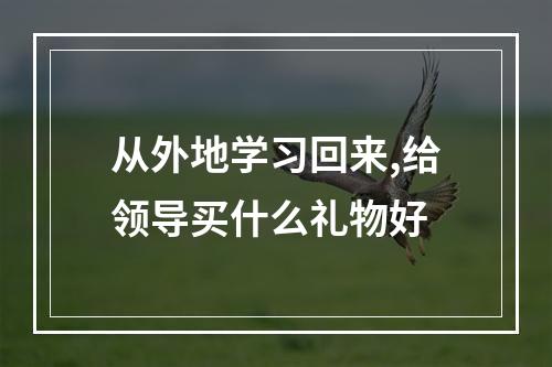 从外地学习回来,给领导买什么礼物好