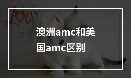 澳洲amc和美国amc区别