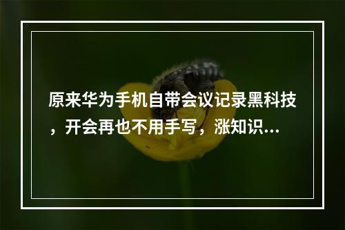 原来华为手机自带会议记录黑科技，开会再也不用手写，涨知识了