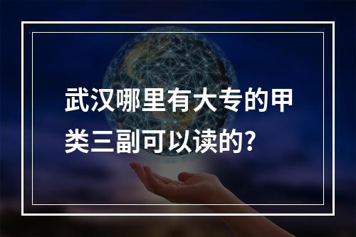 武汉哪里有大专的甲类三副可以读的?