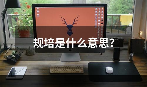 规培是什么意思？