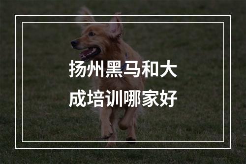 扬州黑马和大成培训哪家好