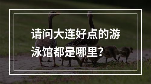 请问大连好点的游泳馆都是哪里？