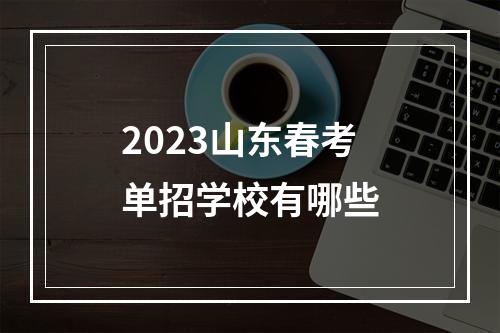 2023山东春考单招学校有哪些