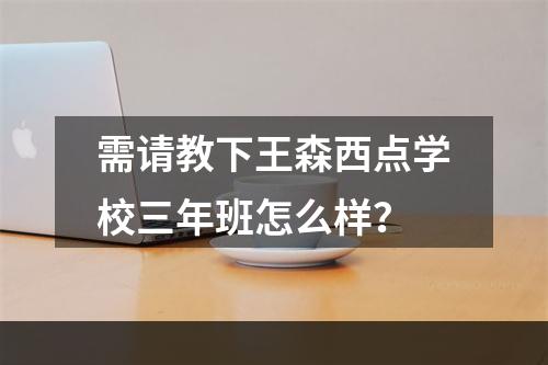 需请教下王森西点学校三年班怎么样？