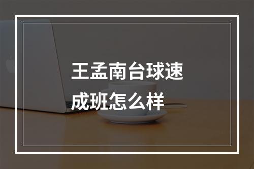 王孟南台球速成班怎么样