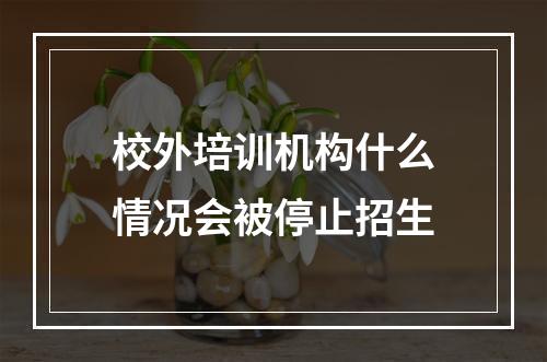 校外培训机构什么情况会被停止招生