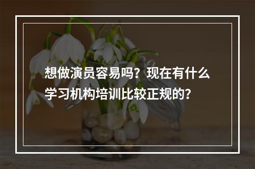 想做演员容易吗？现在有什么学习机构培训比较正规的？