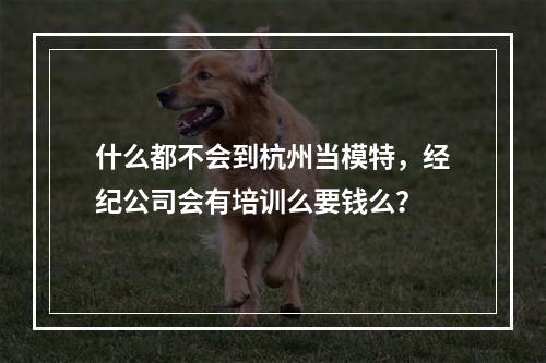 什么都不会到杭州当模特，经纪公司会有培训么要钱么？