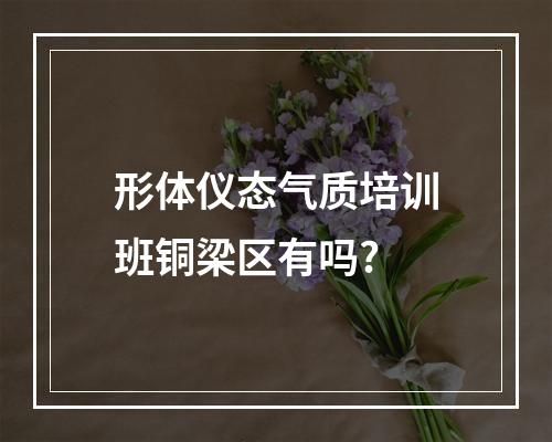 形体仪态气质培训班铜梁区有吗?