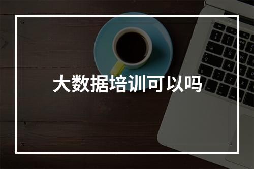 大数据培训可以吗