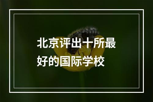 北京评出十所最好的国际学校