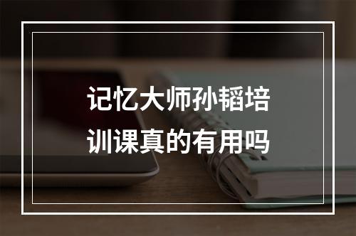 记忆大师孙韬培训课真的有用吗