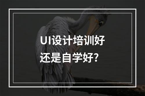 UI设计培训好还是自学好?