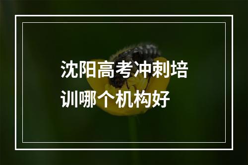 沈阳高考冲刺培训哪个机构好