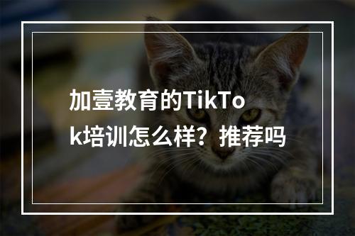 加壹教育的TikTok培训怎么样？推荐吗