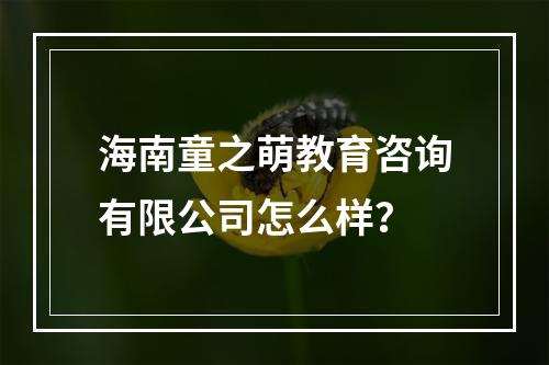 海南童之萌教育咨询有限公司怎么样？