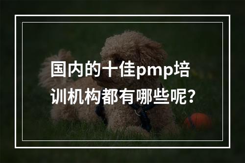 国内的十佳pmp培训机构都有哪些呢？