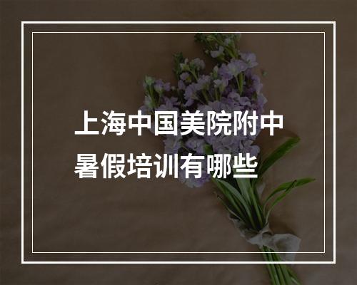 上海中国美院附中暑假培训有哪些