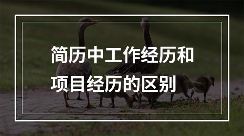 简历中工作经历和项目经历的区别